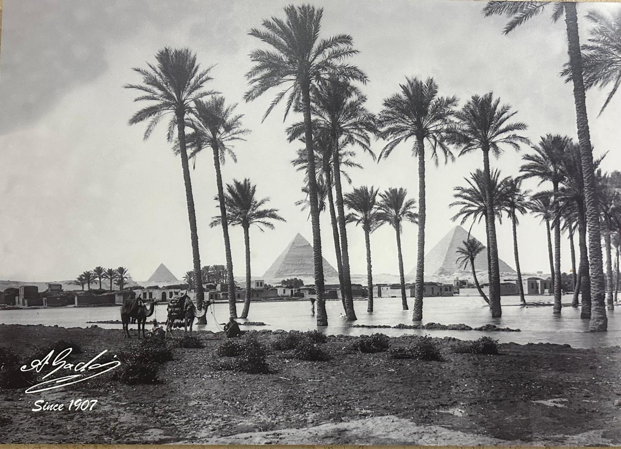 Sheikh Ali Haus * Cairo